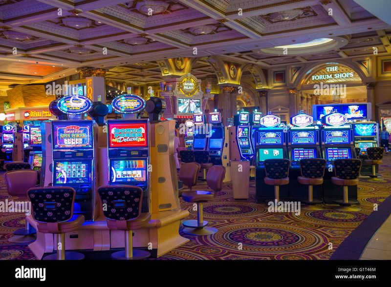 Fowl Wager Casino Site Review 2026