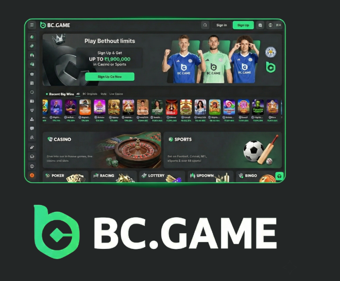 JB Casino Explained Your Guide to Online Gaming